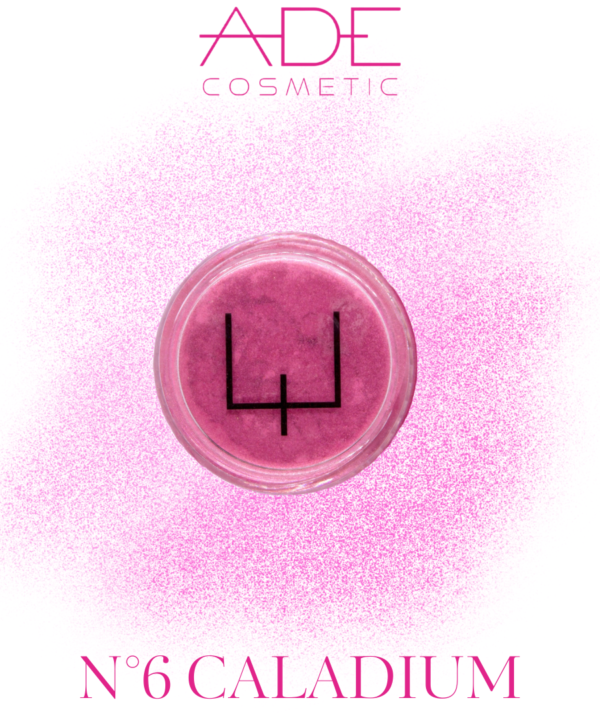 N°6 Caladium- Coven Dust Loose Pigment Pots